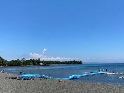 🏖️ 오세 해수욕장(大瀬海水浴場) 이미지 2